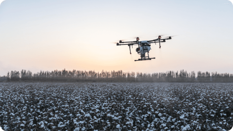Conventionally grown cotton sprayed with hazardous pesticides and fertilisers